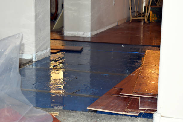 Professional Water Removal technician working in Montague, MI